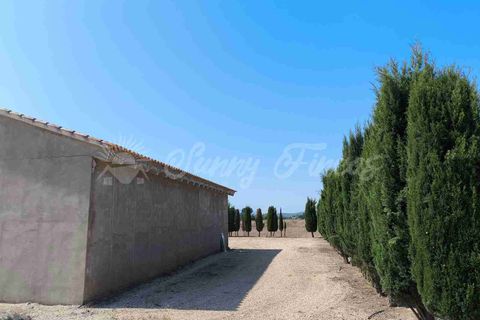 Landejendom i Caudete, Albacete, Caudete - € 95.000 | Ref: SF0539 - foto 9